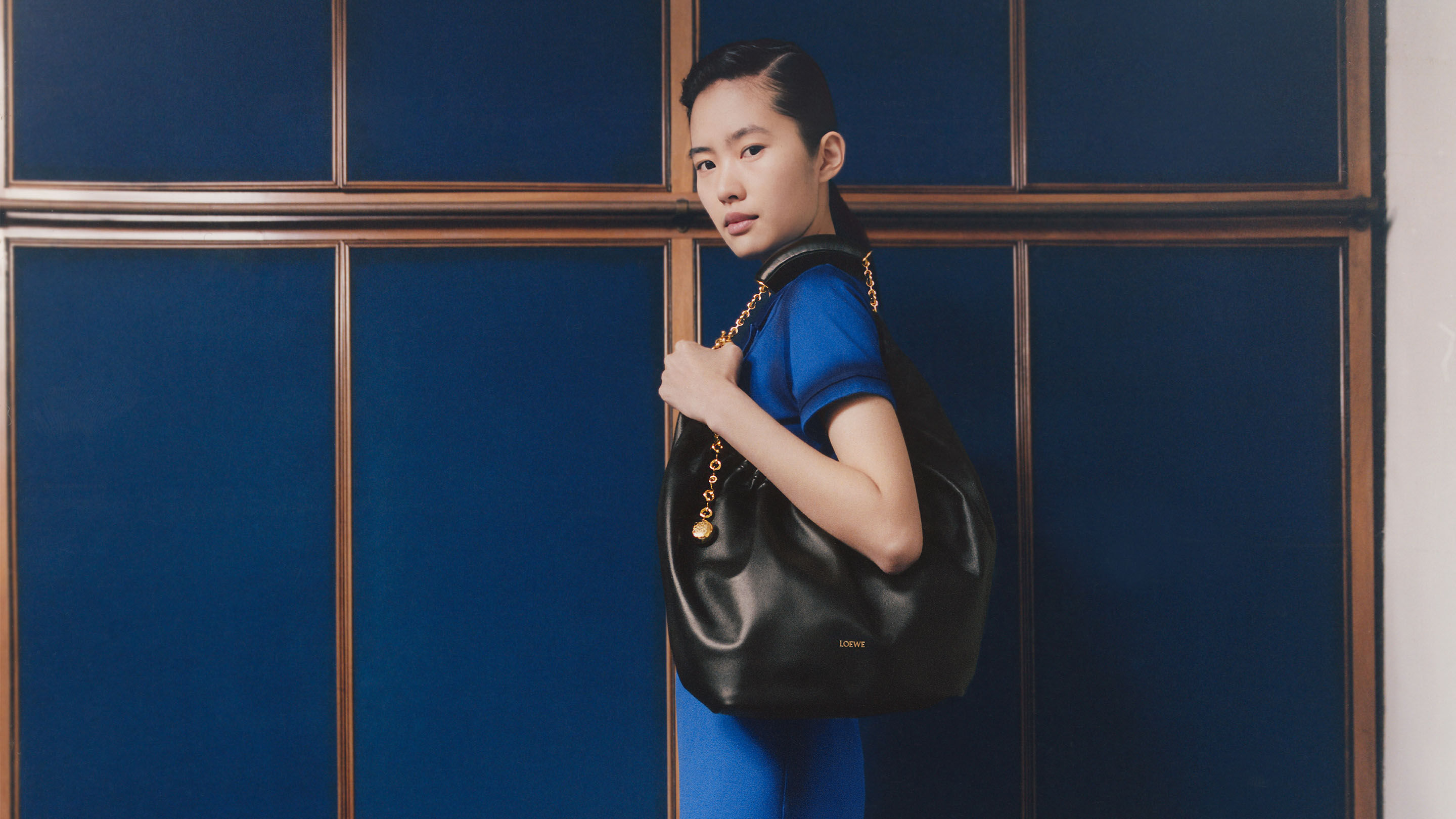 Loewe luggage deals